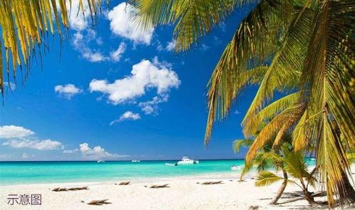 海南海边最新消息爆料,神秘海岛发现珍稀生物,旅游胜地再掀热潮 第2张 海南海边最新消息爆料,神秘海岛发现珍稀生物,旅游胜地再掀热潮 第2张